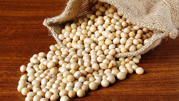 CND Soy Bean - Dau Nanh 1Kg