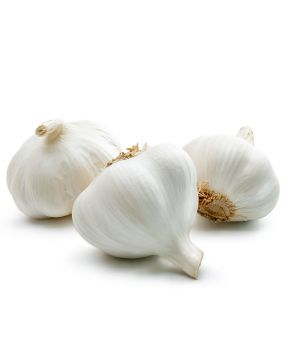 HOLLANTI Valkosipuli - Toi 500G