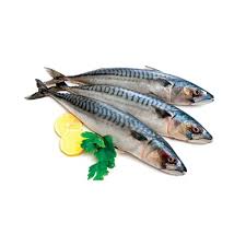 STAR PRIDE Mackerel Japanese / Ca Nuc 1Kg