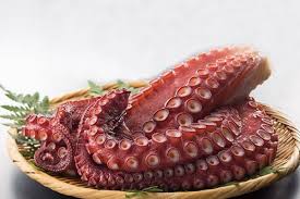 PRIDE STAR Giant Squid Tentacles - Bach Tuoc 1Kg