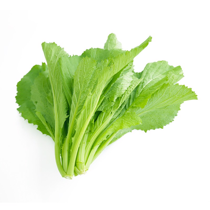 FRESH Am Choi - Cai Dang 500G