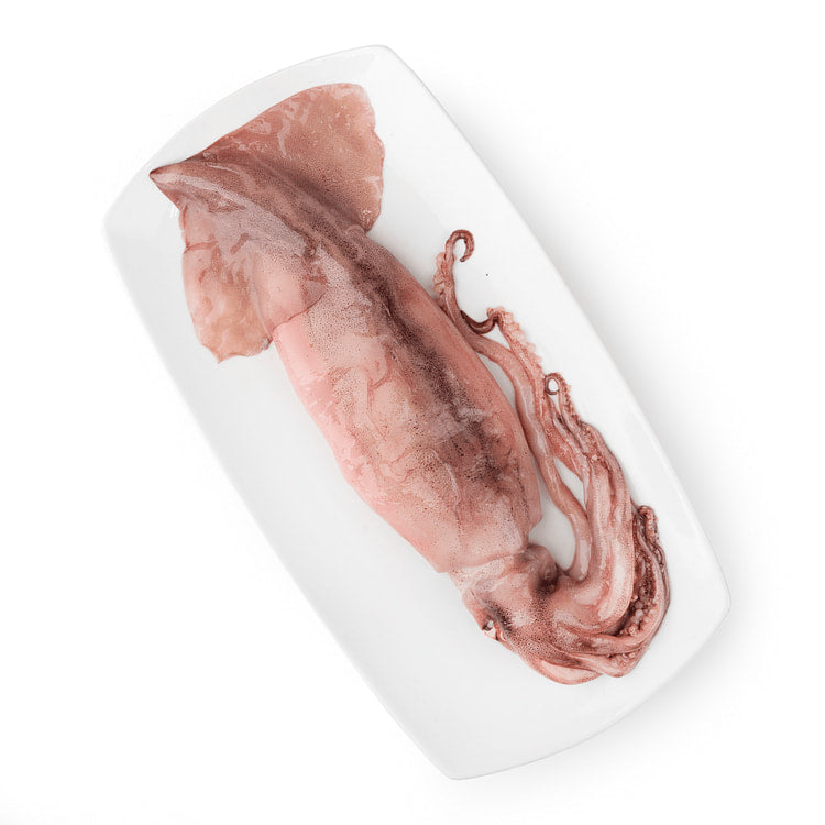 STAR PRIDE SQUID W/R 500/1000G NW 5KG PER UNIT