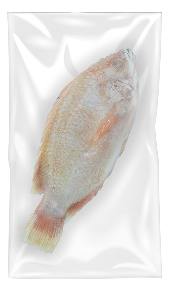 MOOIJER Red Tilapia - Ca Dieu Hong 800G-1000G