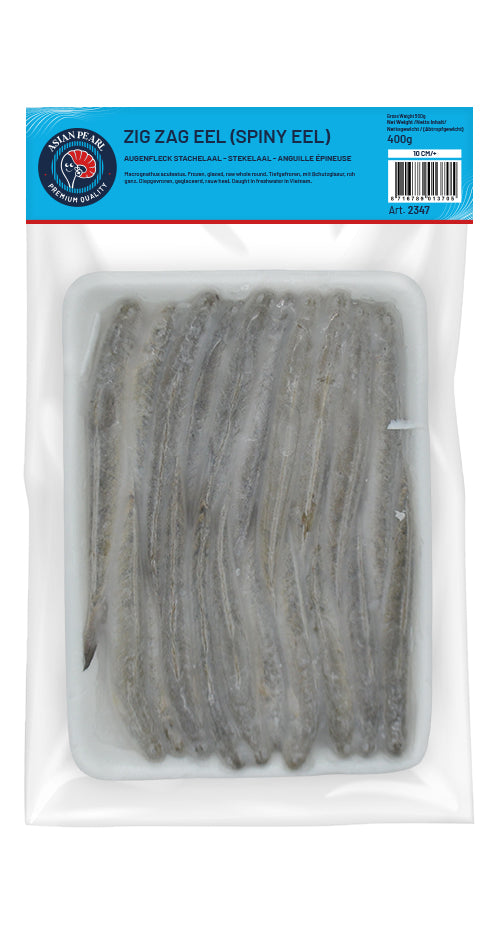 MOOIJER Zig-Zag Eel (Spiny Eel) Raw Whole Round 12 Cm/+ - Ca Chach 500G