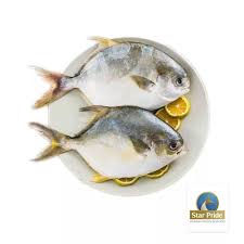 STAR PRIDE Pomfret Gold W/R Size 400/600G / Ca Chim 1Kg