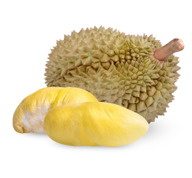 FRESH Durian Monthong - Sau Rieng 500G