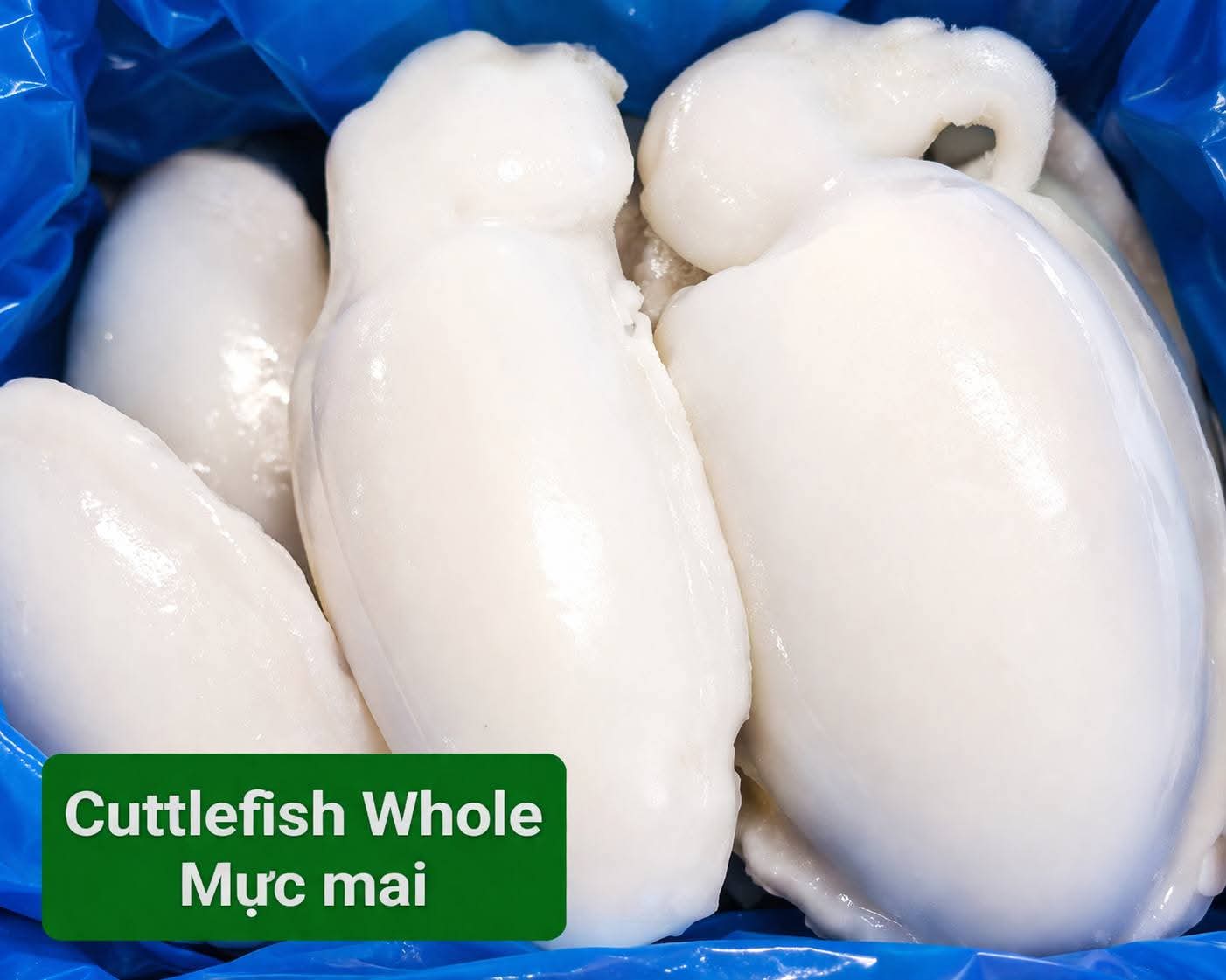 JASMINE Cuttlefish 1-2 - Muc Mai Size 1-2 1Kg