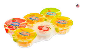 SUSUKING Mix Fruit Pudding 480 G