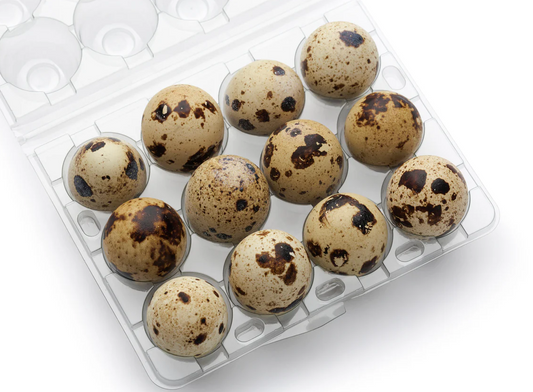 JASMINE Quail Egg 12Pcs