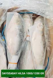DAYSEADAY Hilsa 1000/1200 Gr