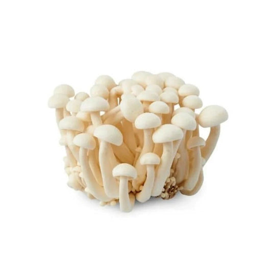 FRESH White Shimeiji Mushroom 150G