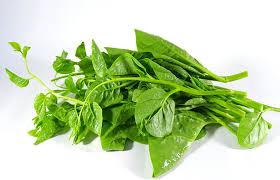 ESPANJA San Choi/Pak Pang - Mong Toi Kg