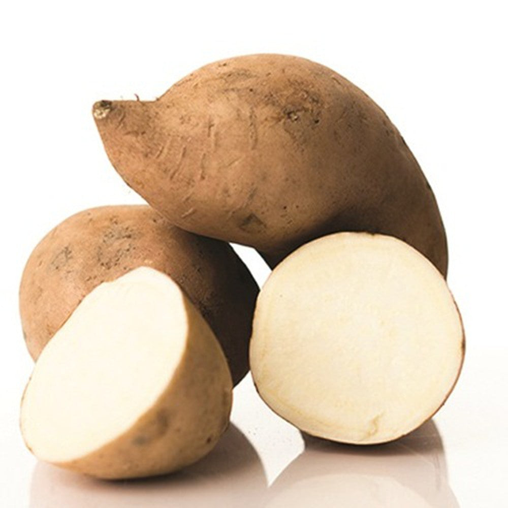 FRESH Sweet Potato White - Khoai Lang Ruot Trang 1Kg