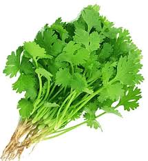 FRESH Coriander Thai Style 100G