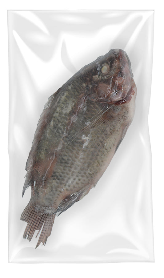 MOOIJER Black Tilapia 800G/+