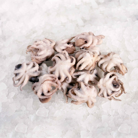 JASMINE Octopus Baby 60/+ 1Kg