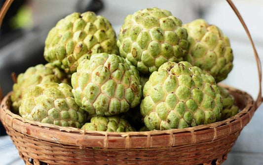 VIETNAM Cherimoya/Sugar Apple - Mang Cau/Qua Na Kg