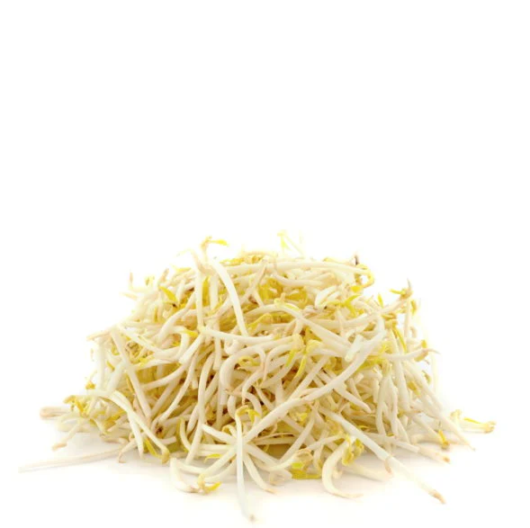 FRESH Beans Sprout - Gia Do 500G