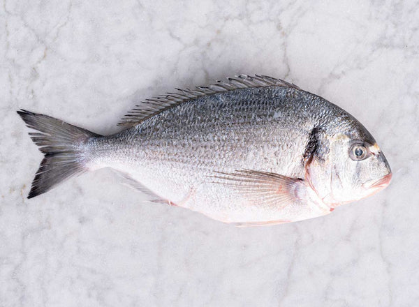 DAYSEADAY Seabream Whole G&S 400/600 - Ca Trap - Kg