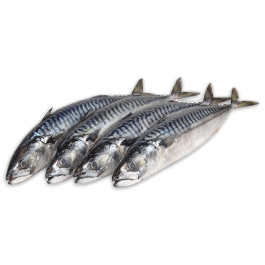 BONESCA Pacific Mackerel Wr 300-Up - Ca Nuc Hoa 1Kg