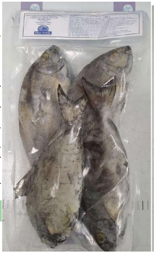 JASMINE Rabbitfish 500/800G 2Kg - Ca Kinh