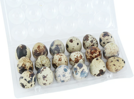 JASMINE Fresh Quail Eggs 18Pcs