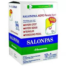 IDN SALONPAS HOT 12Pcs