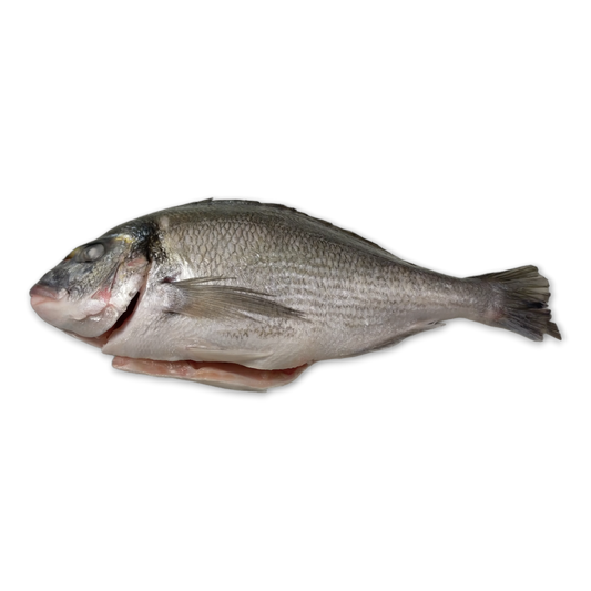 JONA Dorade Royal/Seabream Wr 300-400G Bulk Iqf 1Kg