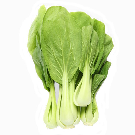 HOLLANTI Shanghai Pak Choi / Cai Chip Kg