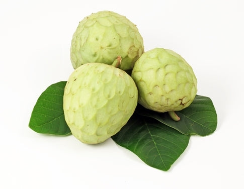 FRESH Cherimoya - Mang Cau - Na 1Kg