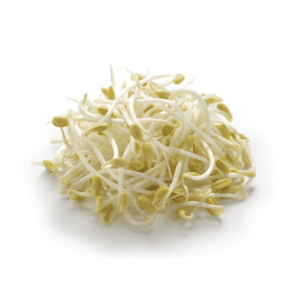 NL/SPAIN Bean Sprouts / Gia Do 500G