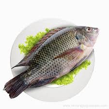 SEAMAIN Black Tilapia - Ca Ro Phi Den Kg