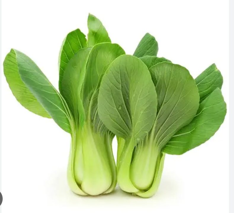 NL/SPAIN Shanghai Pak Choi 1Kg