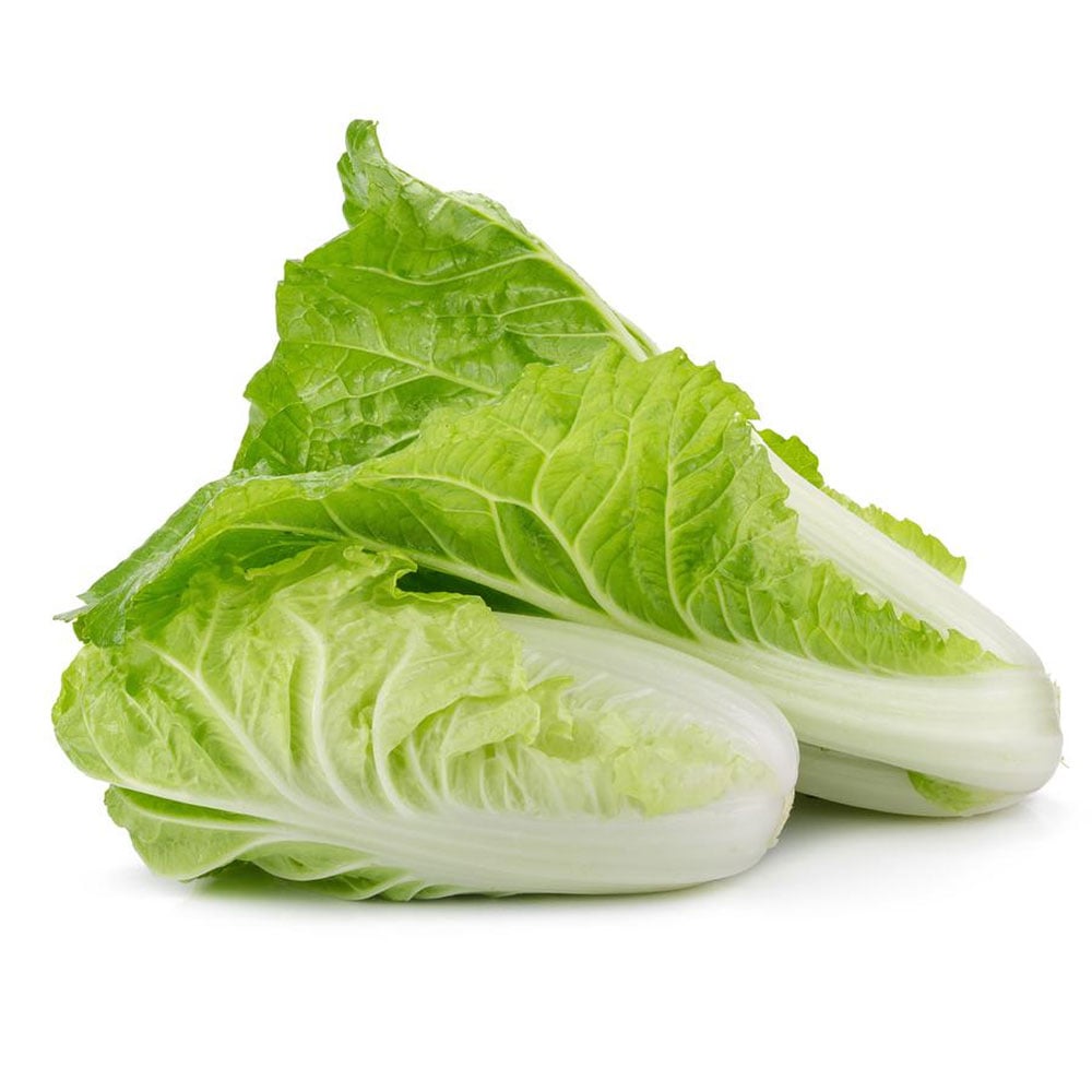 SPAIN/NL Chinese Cabbagen- Cai Thao Kg