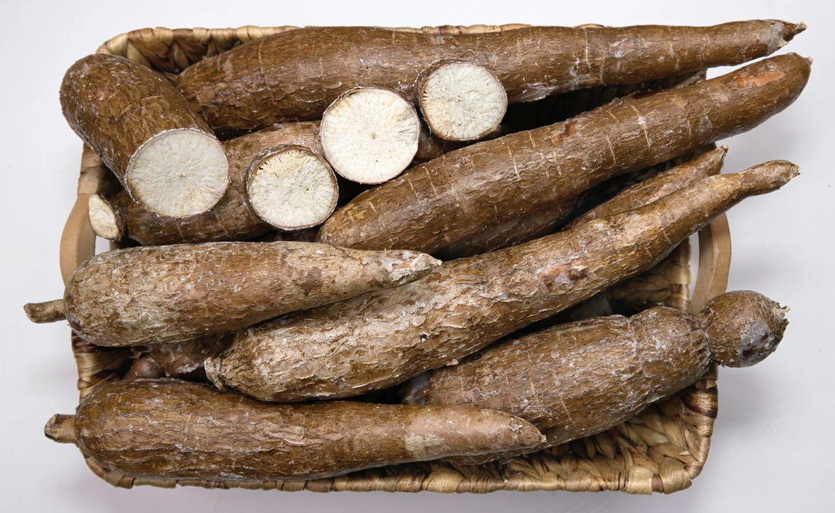 FRESH Cassava - Khoai Mi (San) 1Kg