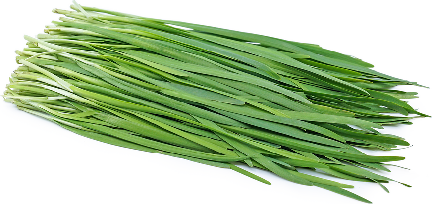 FRESH Chive Leaves - He 100G