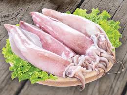 PRIDE STAR Squid W/R 6/10 - Muc Ong 2Kg