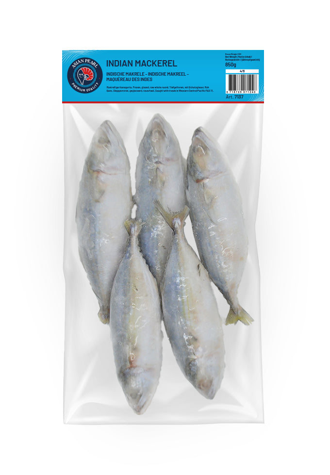 MOOIJER Indian Mackerel Raw Whole Round 4/6 1Kg