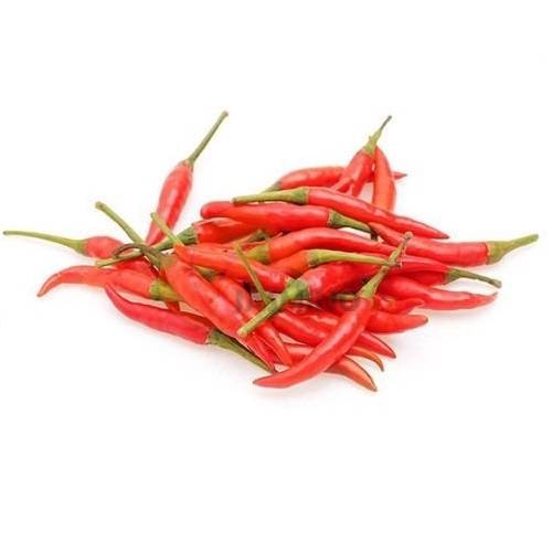 FRESH Red Chilli - Ot Cay 100G